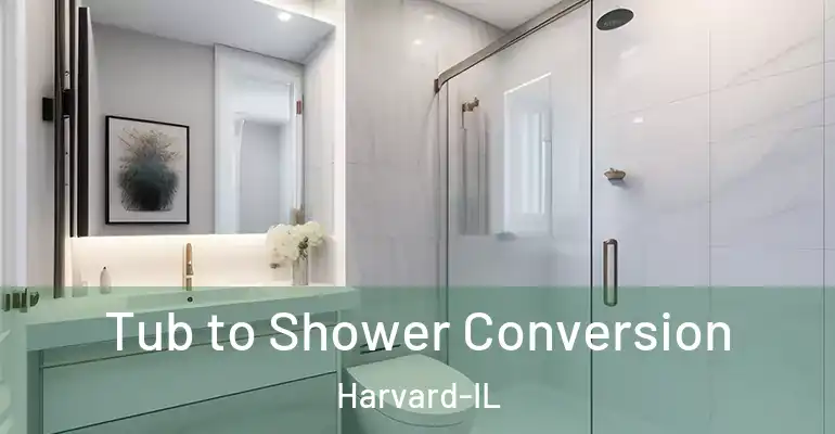 inner Bathroom imggen Tub to Shower Conversion Harvard-IL