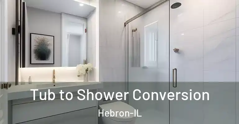 inner Bathroom imggen Tub to Shower Conversion Hebron-IL