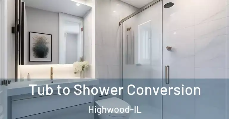 inner Bathroom imggen Tub to Shower Conversion Highwood-IL