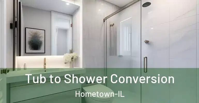 inner Bathroom imggen Tub to Shower Conversion Hometown-IL