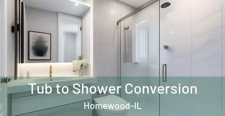 inner Bathroom imggen Tub to Shower Conversion Homewood-IL