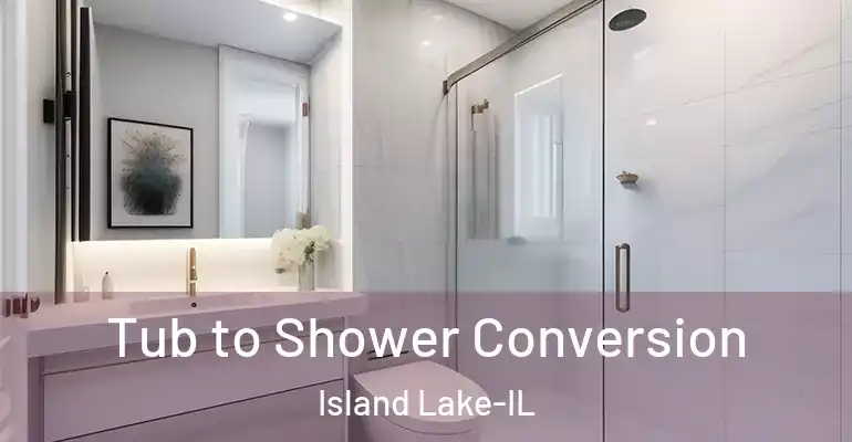 inner Bathroom imggen Tub to Shower Conversion Island Lake-IL
