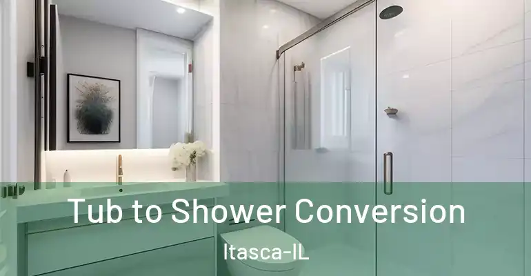 inner Bathroom imggen Tub to Shower Conversion Itasca-IL