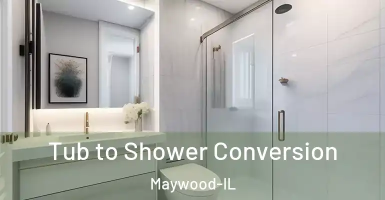 inner Bathroom imggen Tub to Shower Conversion Maywood-IL