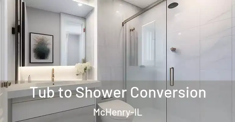 inner Bathroom imggen Tub to Shower Conversion McHenry-IL
