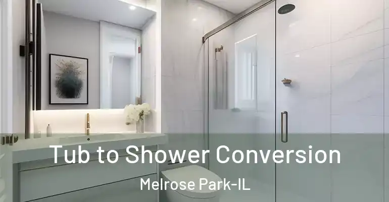inner Bathroom imggen Tub to Shower Conversion Melrose Park-IL