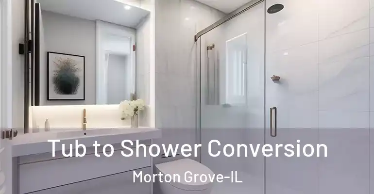 inner Bathroom imggen Tub to Shower Conversion Morton Grove-IL