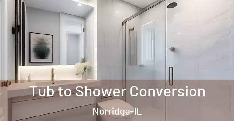 inner Bathroom imggen Tub to Shower Conversion Norridge-IL