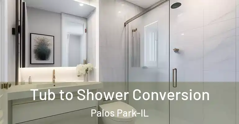 inner Bathroom imggen Tub to Shower Conversion Palos Park-IL