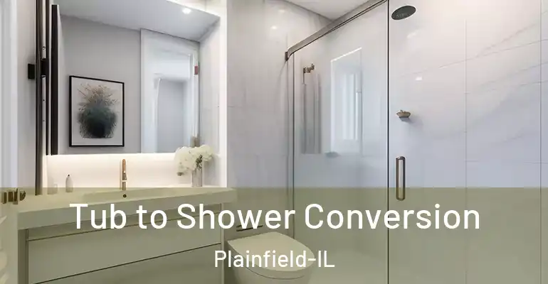 inner Bathroom imggen Tub to Shower Conversion Plainfield-IL