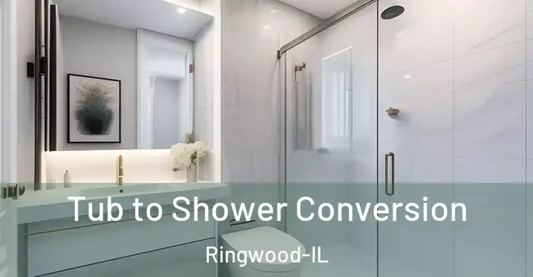 inner Bathroom imggen Tub to Shower Conversion Ringwood-IL