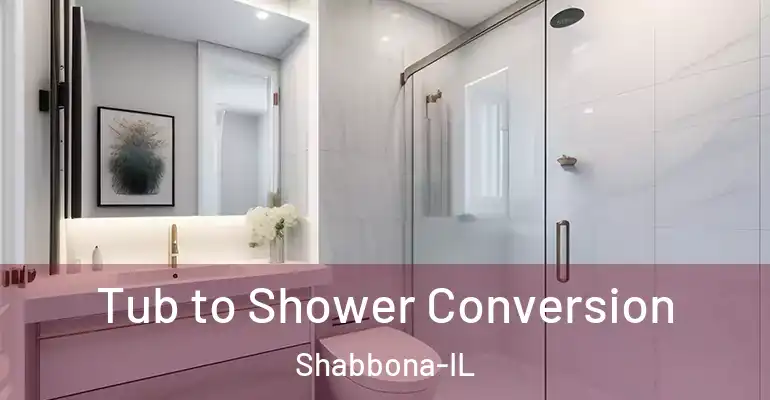 inner Bathroom imggen Tub to Shower Conversion Shabbona-IL