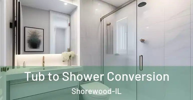 inner Bathroom imggen Tub to Shower Conversion Shorewood-IL