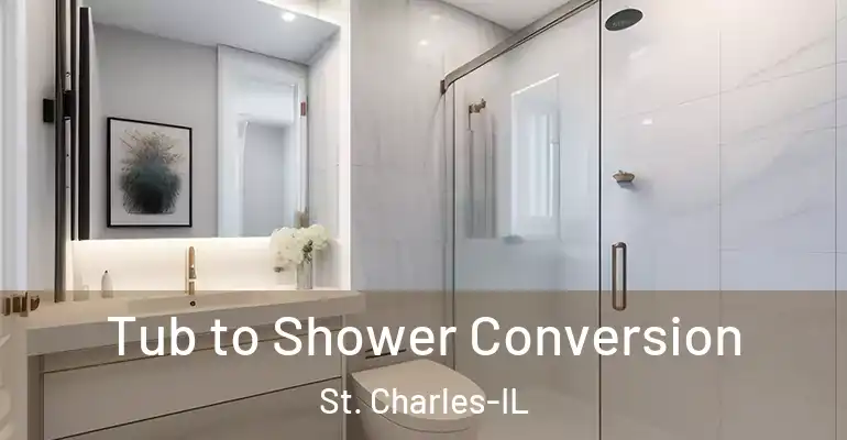 inner Bathroom imggen Tub to Shower Conversion St. Charles-IL