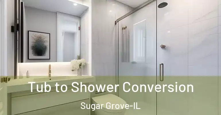 inner Bathroom imggen Tub to Shower Conversion Sugar Grove-IL