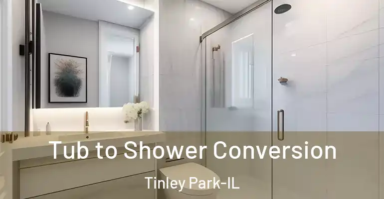 inner Bathroom imggen Tub to Shower Conversion Tinley Park-IL