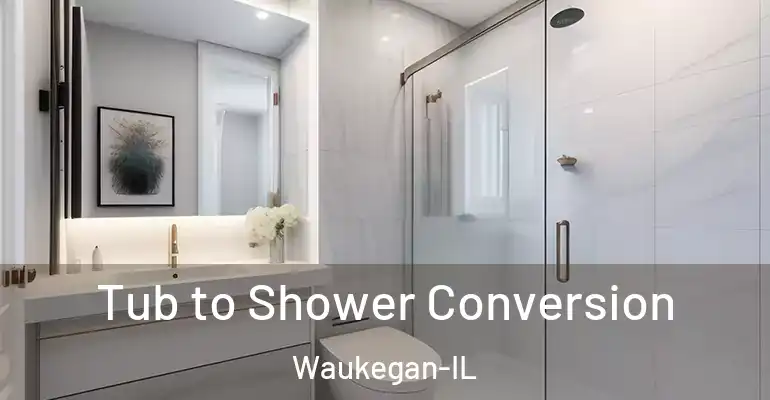 inner Bathroom imggen Tub to Shower Conversion Waukegan-IL