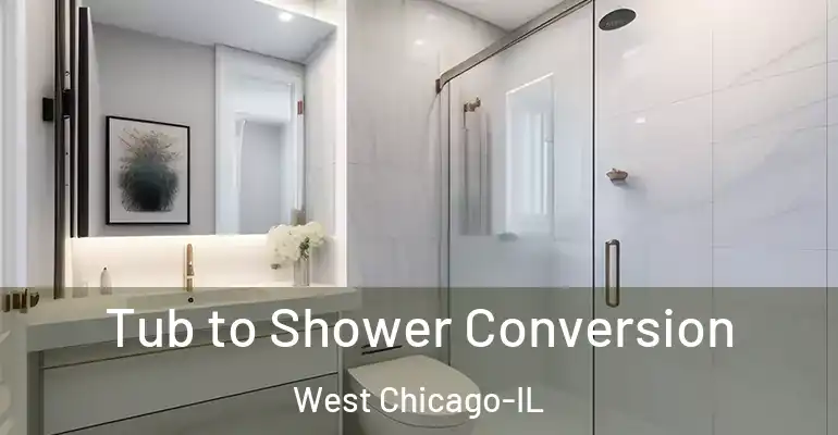 inner Bathroom imggen Tub to Shower Conversion West Chicago-IL