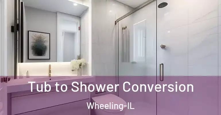 inner Bathroom imggen Tub to Shower Conversion Wheeling-IL