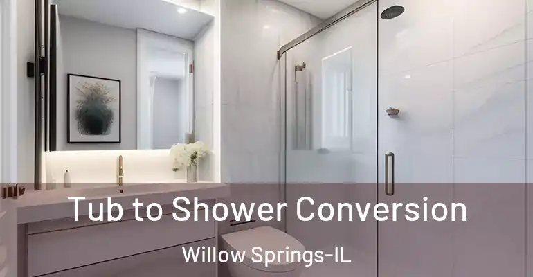 inner Bathroom imggen Tub to Shower Conversion Willow Springs-IL