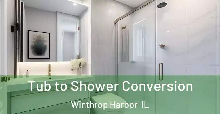 inner Bathroom imggen Tub to Shower Conversion Winthrop Harbor-IL