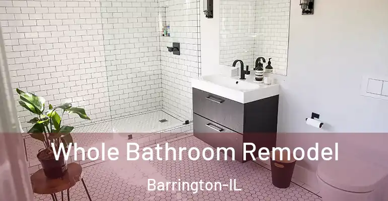 inner Bathroom imggen Whole Bathroom Remodel Barrington-IL