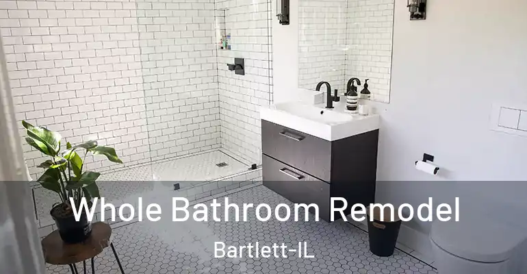 inner Bathroom imggen Whole Bathroom Remodel Bartlett-IL