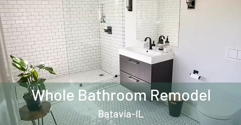 inner Bathroom imggen Whole Bathroom Remodel Batavia-IL