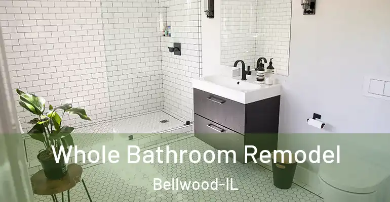 inner Bathroom imggen Whole Bathroom Remodel Bellwood-IL
