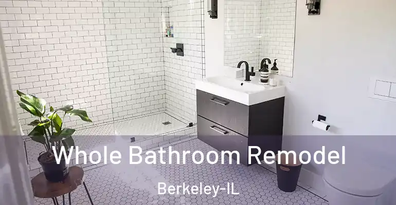inner Bathroom imggen Whole Bathroom Remodel Berkeley-IL