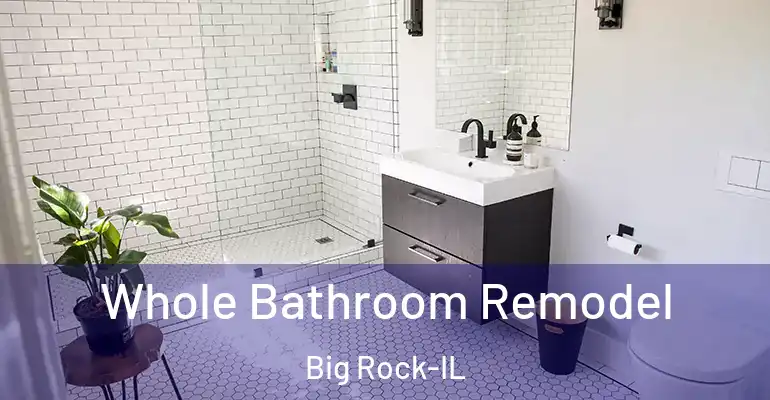 inner Bathroom imggen Whole Bathroom Remodel Big Rock-IL