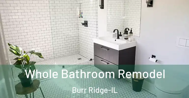 inner Bathroom imggen Whole Bathroom Remodel Burr Ridge-IL