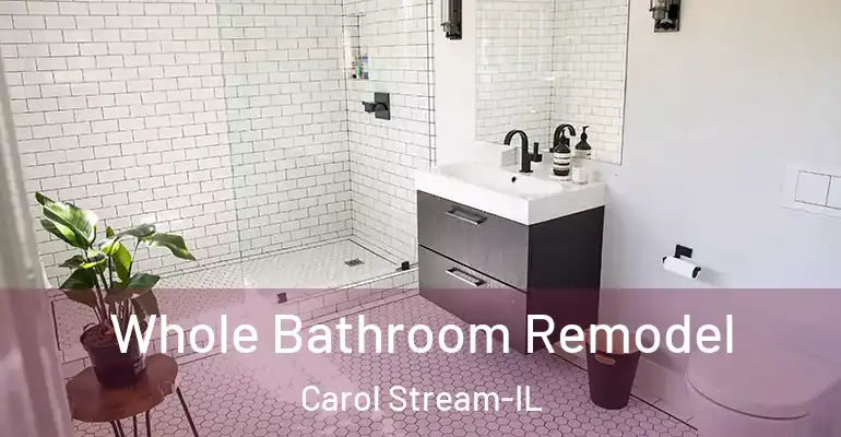 inner Bathroom imggen Whole Bathroom Remodel Carol Stream-IL