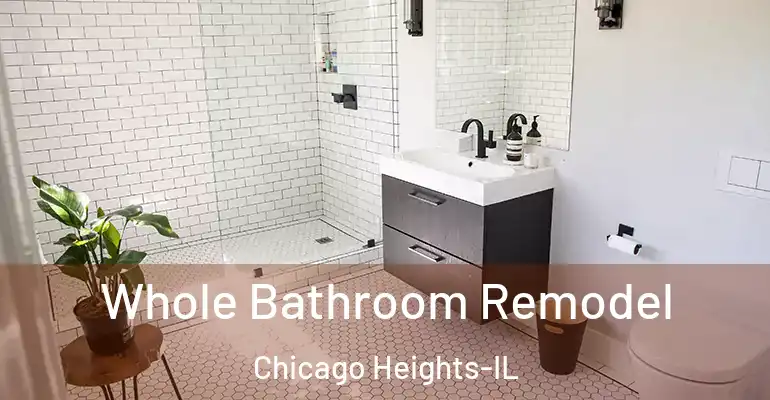 inner Bathroom imggen Whole Bathroom Remodel Chicago Heights-IL