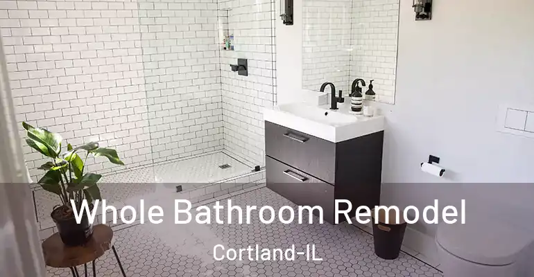 inner Bathroom imggen Whole Bathroom Remodel Cortland-IL