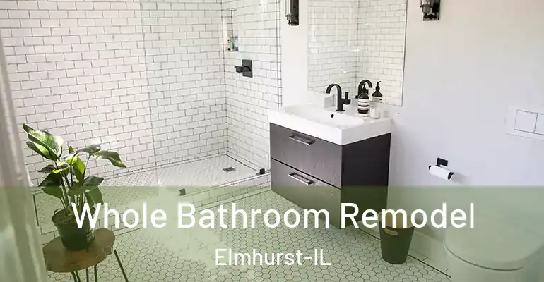 inner Bathroom imggen Whole Bathroom Remodel Elmhurst-IL
