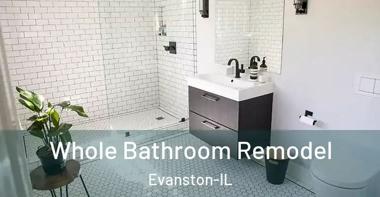 inner Bathroom imggen Whole Bathroom Remodel Evanston-IL