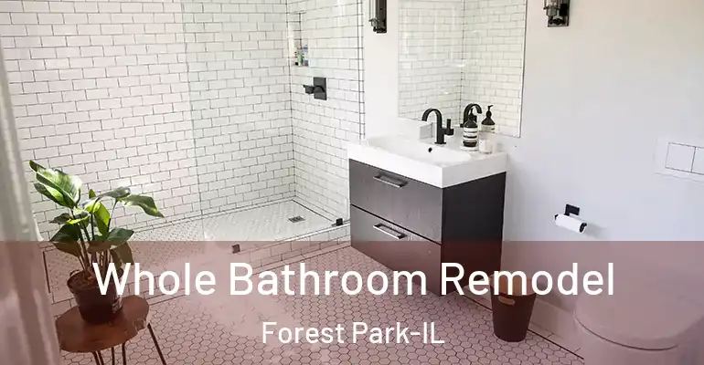 inner Bathroom imggen Whole Bathroom Remodel Forest Park-IL
