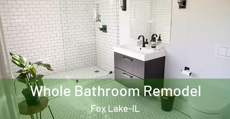 inner Bathroom imggen Whole Bathroom Remodel Fox Lake-IL