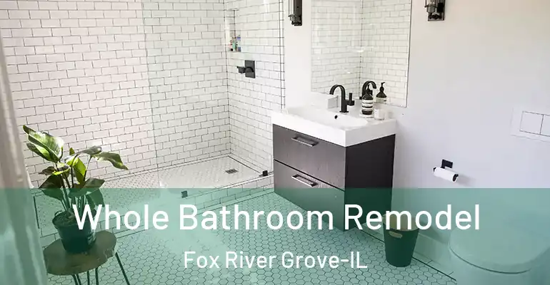 inner Bathroom imggen Whole Bathroom Remodel Fox River Grove-IL