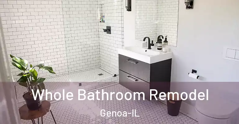 inner Bathroom imggen Whole Bathroom Remodel Genoa-IL