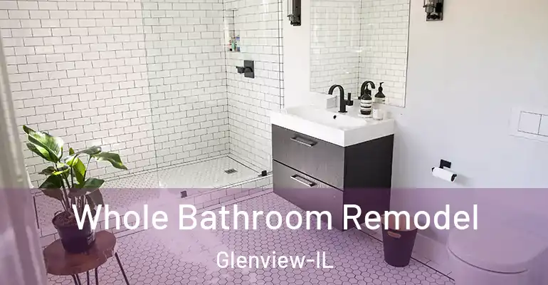 inner Bathroom imggen Whole Bathroom Remodel Glenview-IL
