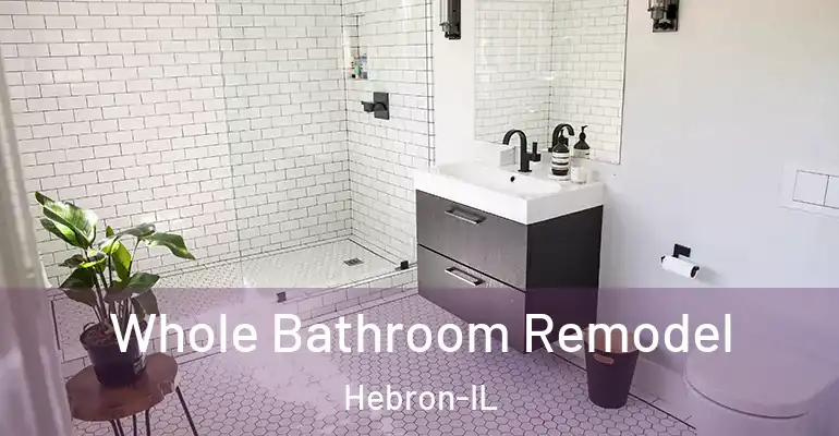 inner Bathroom imggen Whole Bathroom Remodel Hebron-IL