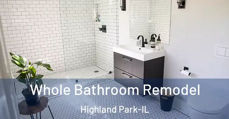 inner Bathroom imggen Whole Bathroom Remodel Highland Park-IL