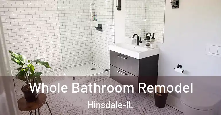 inner Bathroom imggen Whole Bathroom Remodel Hinsdale-IL