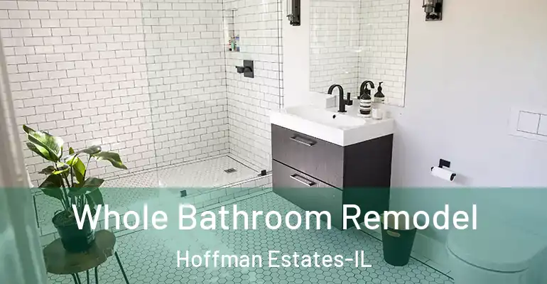 inner Bathroom imggen Whole Bathroom Remodel Hoffman Estates-IL