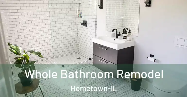 inner Bathroom imggen Whole Bathroom Remodel Hometown-IL
