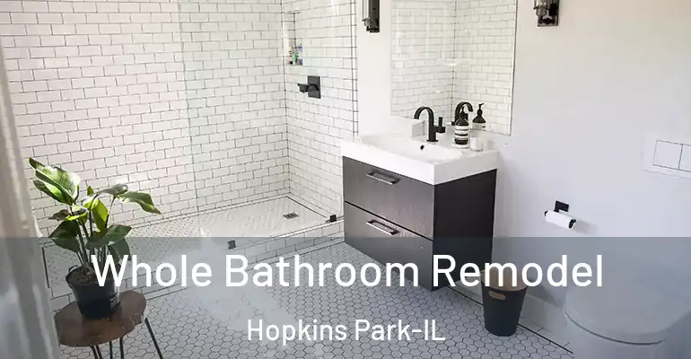 inner Bathroom imggen Whole Bathroom Remodel Hopkins Park-IL
