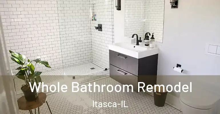 inner Bathroom imggen Whole Bathroom Remodel Itasca-IL