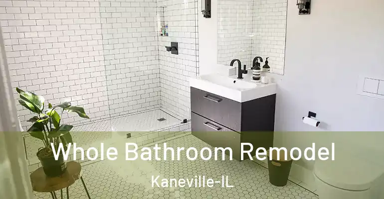 inner Bathroom imggen Whole Bathroom Remodel Kaneville-IL